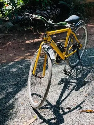 Japan Bicycle Hybrid