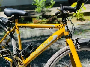 Japan Bicycle Hybrid