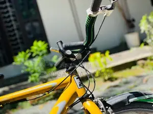 Japan Bicycle Hybrid