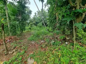 වේයන්ගොඩ අධිවේගී පිවිසුමට විනාඩි 10 න් වටිනා ඉඩමක්