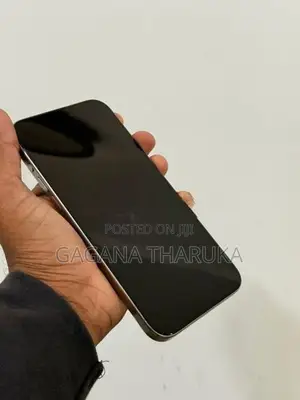 Apple iPhone 15 Pro Max (Used)
