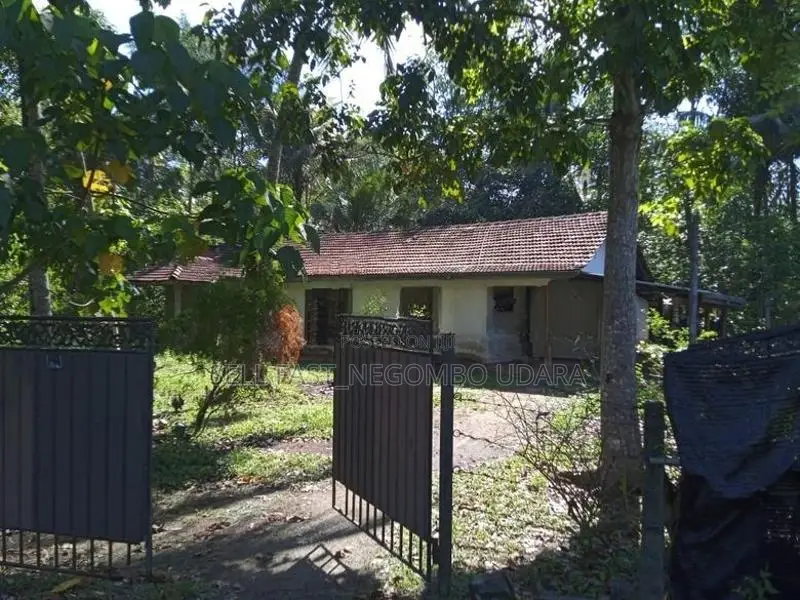 House for Sale in Divulapitiya