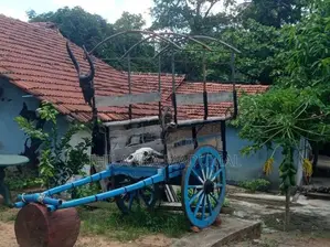 Bullock Cart