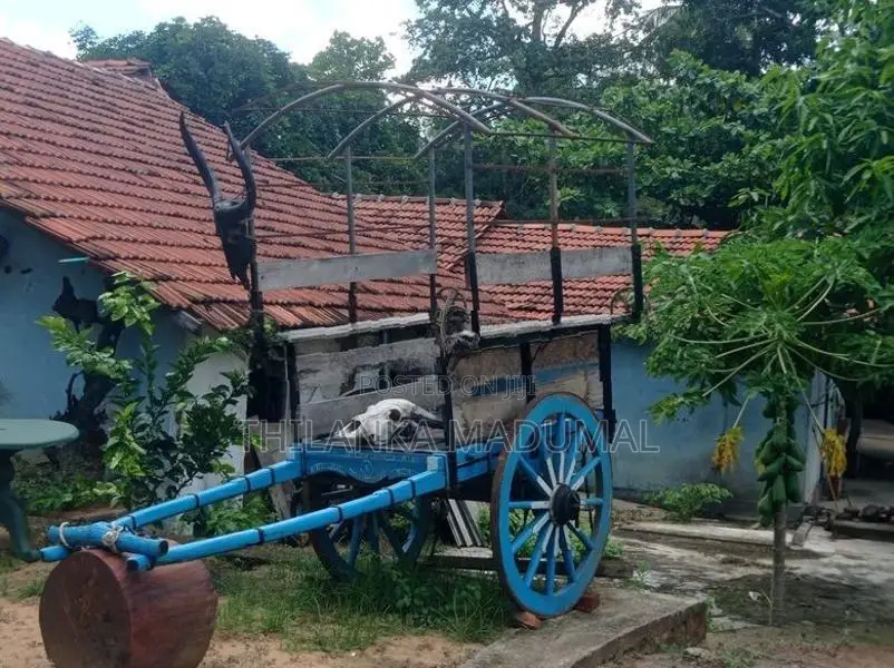 Bullock Cart