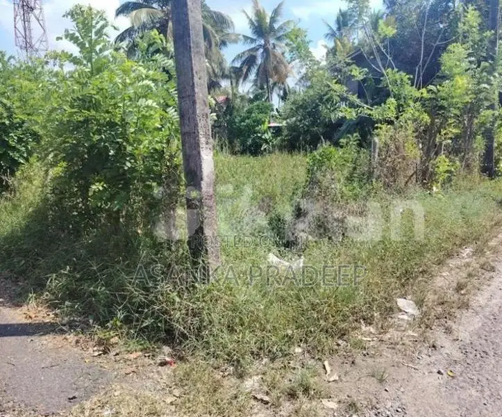 කොට්ටාව පොල්ගස්ඕවිට ජාලියගමින් වටිනා පර්චස් 33ක ඉඩමක් විකිනීමට