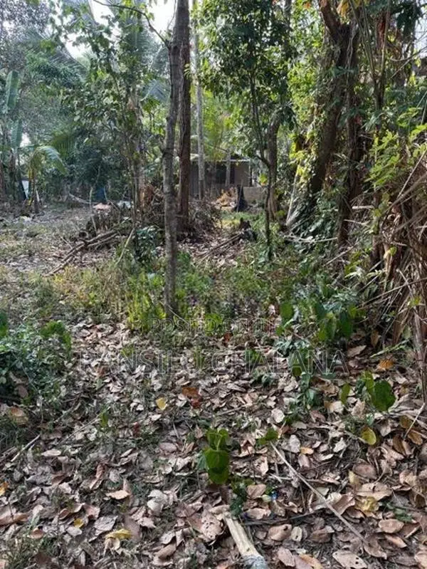 Land for Sale Gampaha Ganemulla