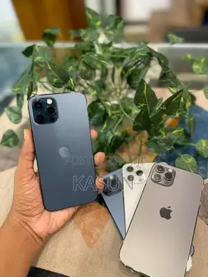 Apple iPhone 12 Pro 256GB (Used)