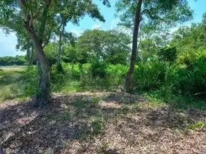 Land for Sale in Pamunugama, Ja-Ela