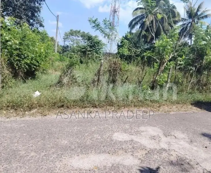 කොට්ටාව පොල්ගස්ඕවිට ජාලියගමින් වටිනා පර්චස් 33ක ඉඩමක් විකිනීමට