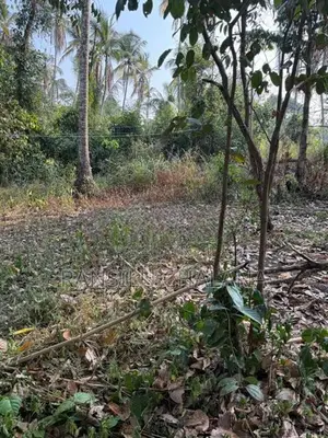 Land for Sale Gampaha Ganemulla