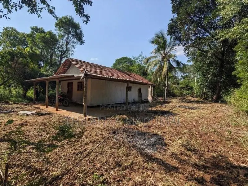 තනමල්විල අක්කර 4/1 ක ඉඩමක් විකිනීමට