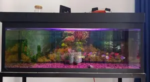 4 Feet Fish Tank