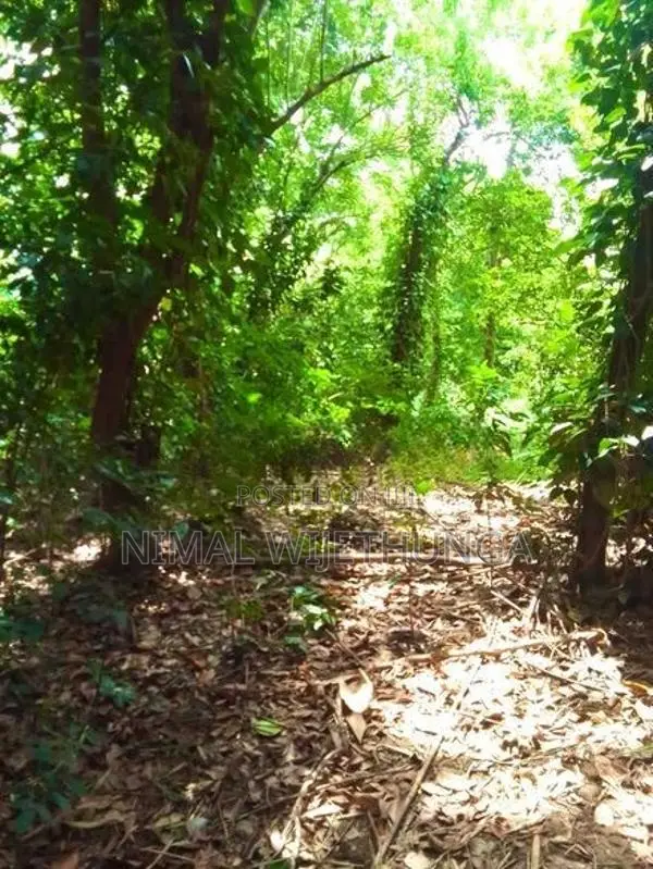 Multi-purpose Land for sales In Minipe