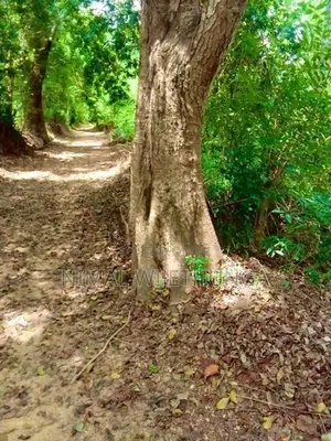 Multi-purpose Land for sales In Minipe