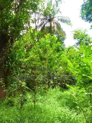 Multi-purpose Land for sales In Minipe