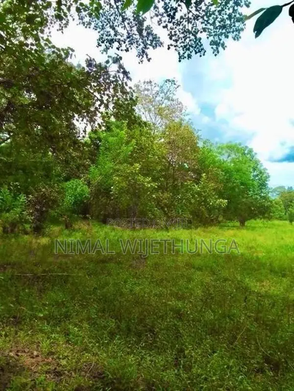Multi-purpose Land for sales In Minipe