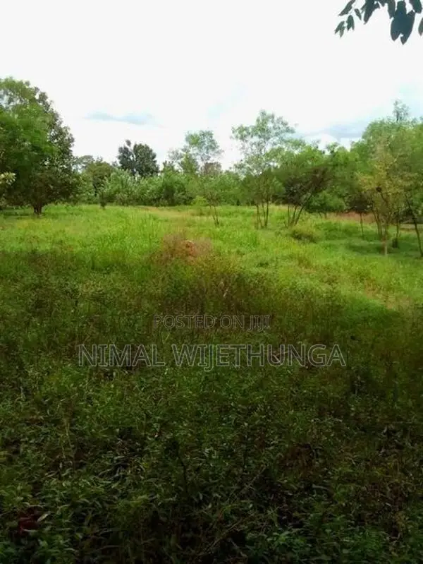 Multi-purpose Land for sales In Minipe