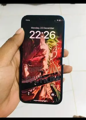 Apple iPhone 12 mini 256GB (Used)