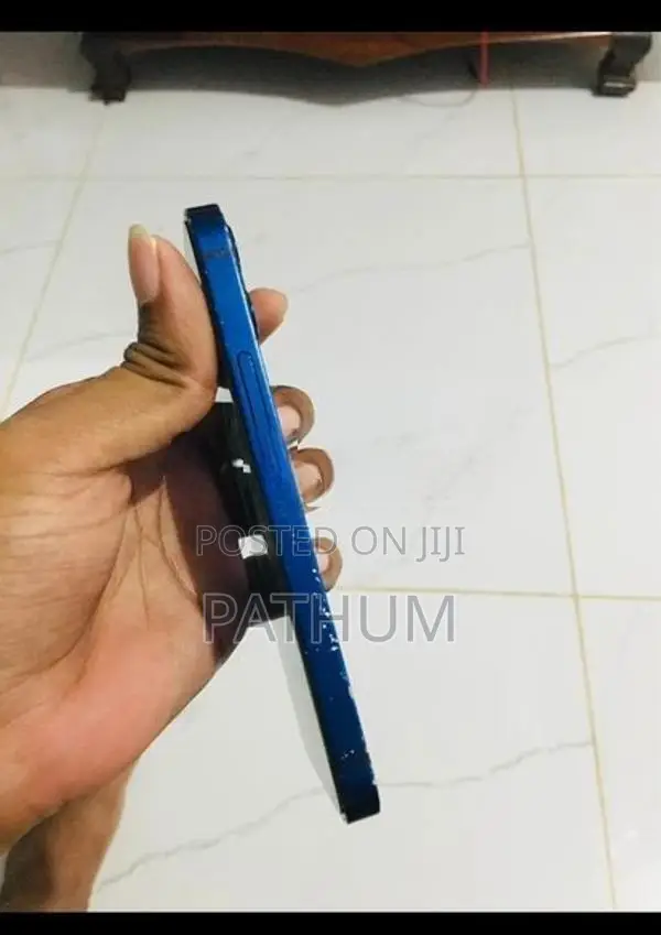 Apple iPhone 12 mini 256GB (Used)