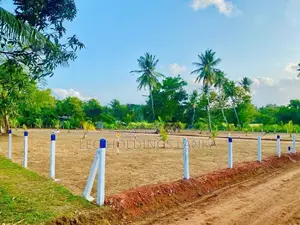 Land For Sale In Gepallawa