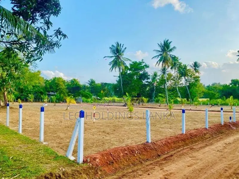 Land For Sale In Gepallawa