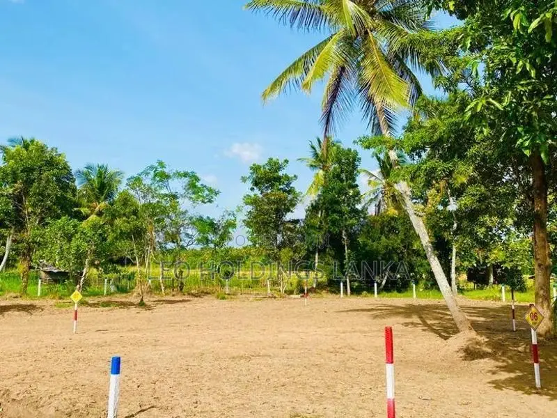 Land For Sale In Gepallawa
