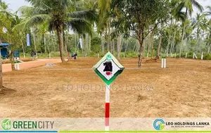 Land For Sale In Maspotha