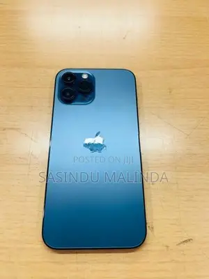 Apple iPhone 12 Pro Max 256GB (Used)