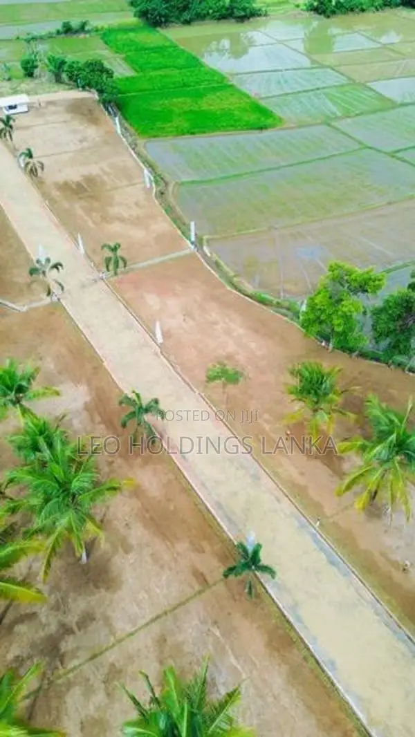 Land For Sale In Pellandeniya