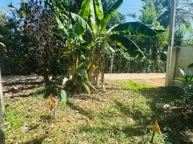 Land For Sale Minuwangoda