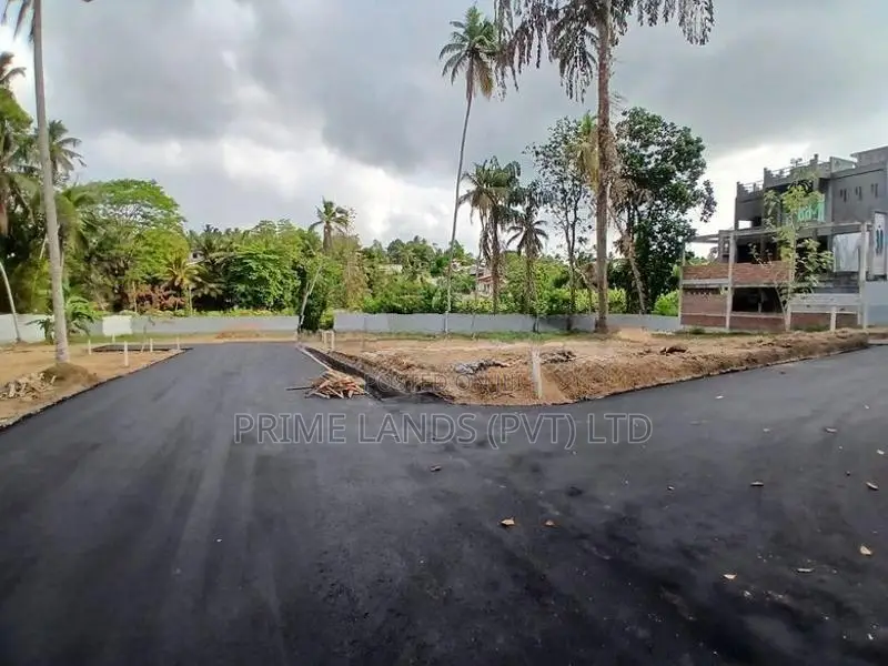 පන්නිපිටිය බිම් කොටස් විකිණීමට
