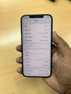 Apple iPhone 12 Pro Max 256GB (Used)