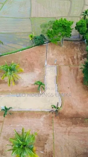 Land For Sale In Pellandeniya