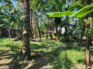 Land For Sale Minuwangoda
