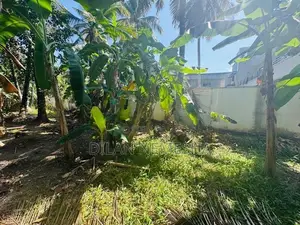 Land For Sale Minuwangoda