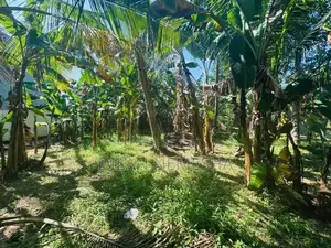Land For Sale Minuwangoda
