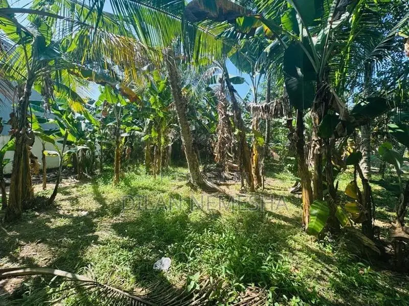 Land For Sale Minuwangoda