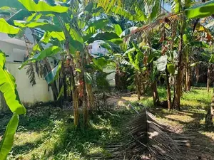 Land For Sale Minuwangoda