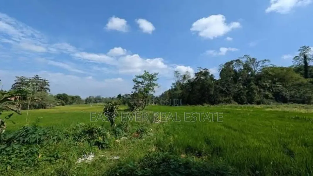 වෙල්යායකට මුහුණලා කොස්ගම තවල්ගොඩින් සුපිරි ඉඩමක්