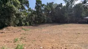 වෙල්යායකට මුහුණලා කොස්ගම තවල්ගොඩින් සුපිරි ඉඩමක්