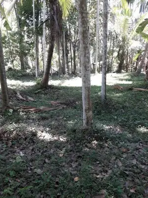 Land for Sale Alawwa, Boyawalana