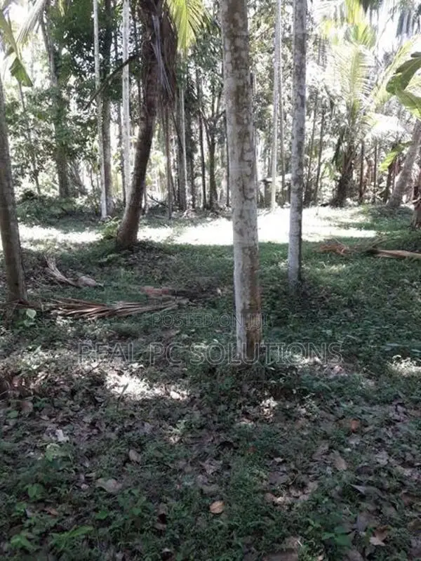 Land for Sale Alawwa, Boyawalana