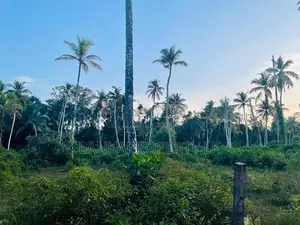 Valuable Residential Lands for Sale – Bentota