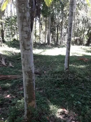 Land for Sale Alawwa, Boyawalana
