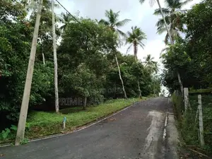 මීගොඩ ආටිගල පලතුරු ගස් සමග බිම් කොටස් විකිණීමට