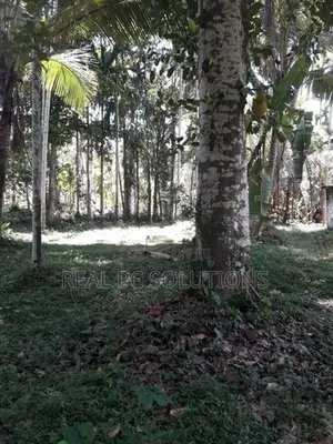 Land for Sale Alawwa, Boyawalana