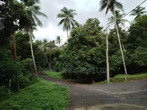 මීගොඩ ආටිගල පලතුරු ගස් සමග බිම් කොටස් විකිණීමට