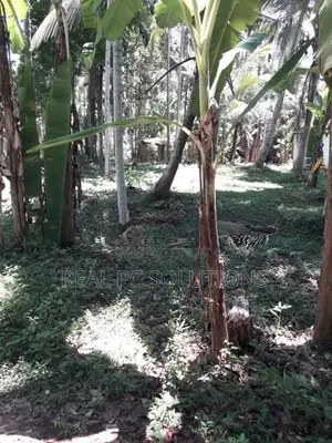 Land for Sale Alawwa, Boyawalana