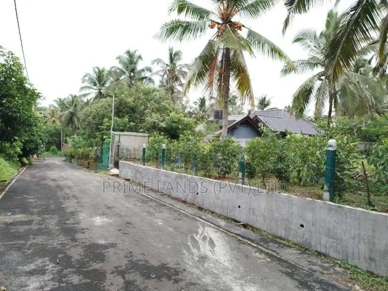 මීගොඩ ආටිගල පලතුරු ගස් සමග බිම් කොටස් විකිණීමට