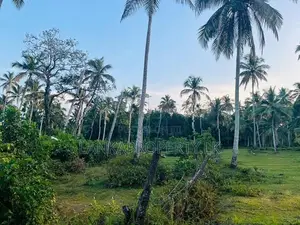Valuable Residential Lands for Sale – Bentota